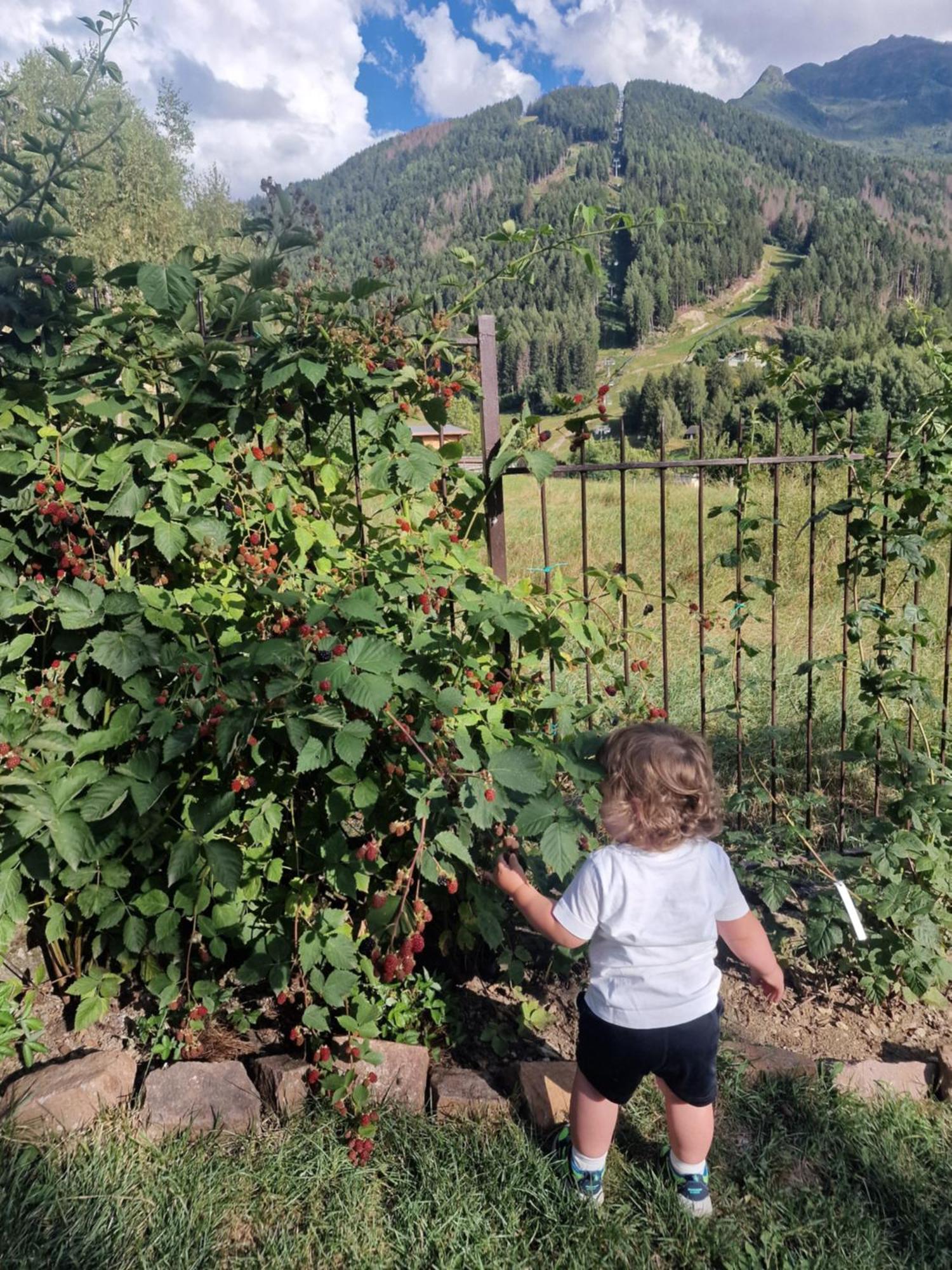 B&B Le Ciaf Temù Kültér fotó